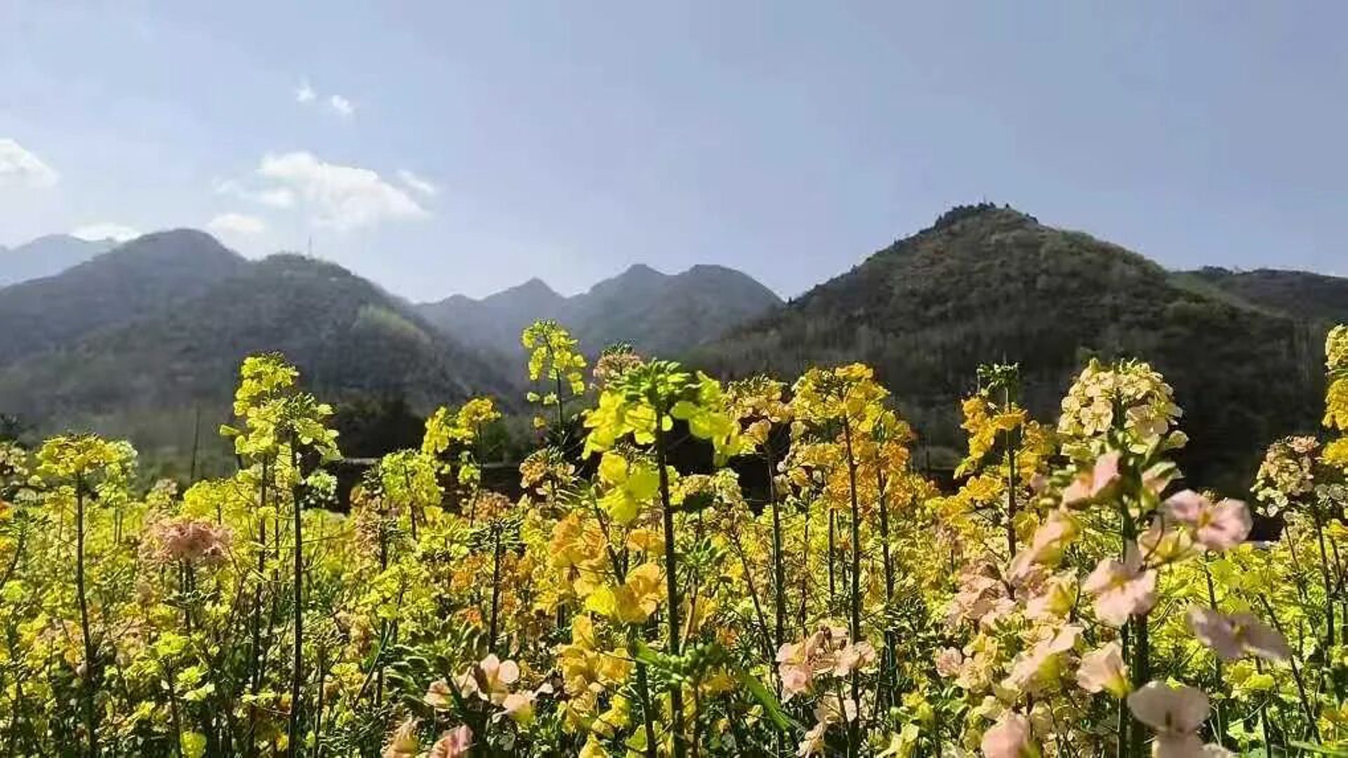 高冠生态景区