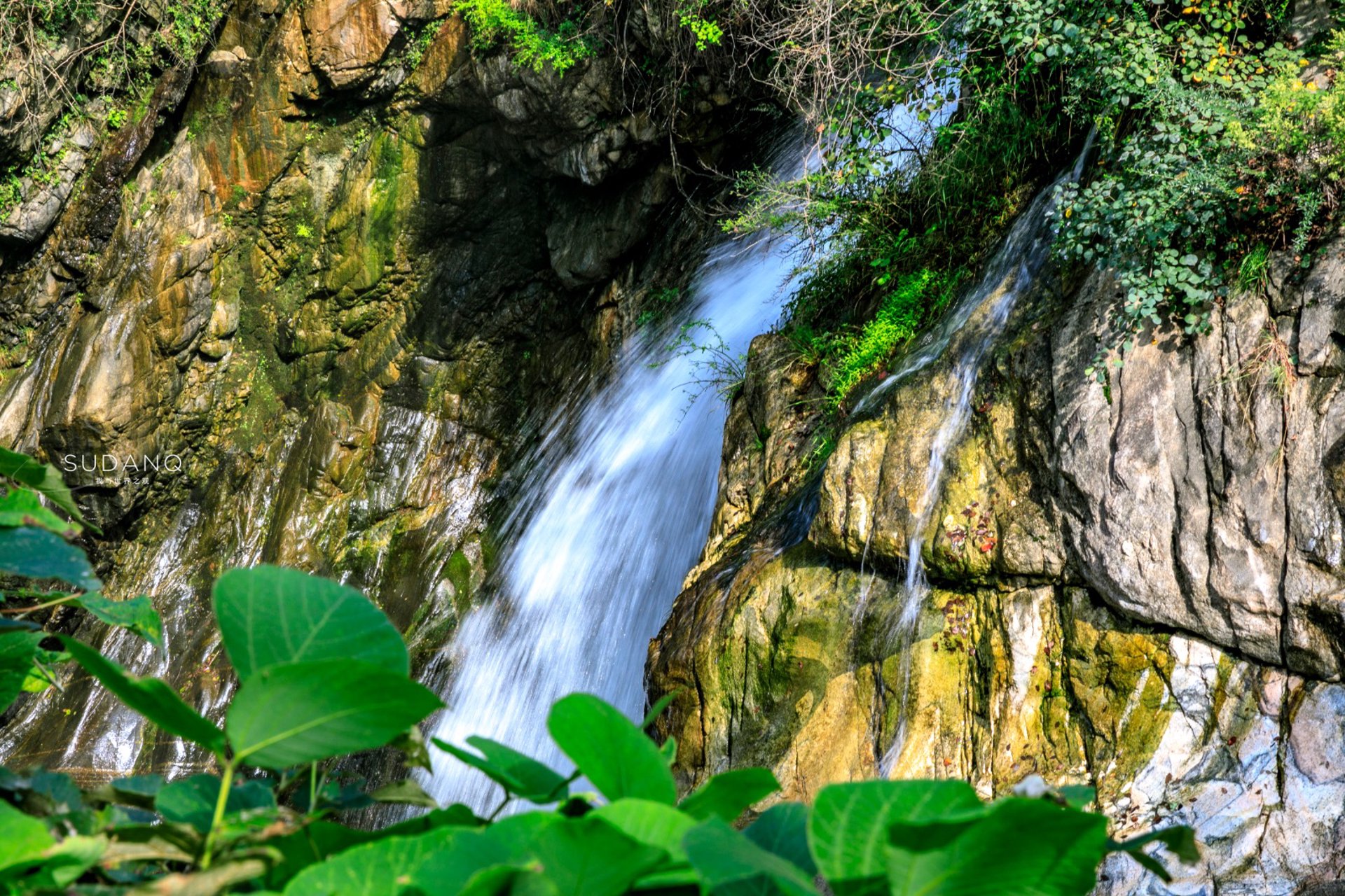 高冠生态景区