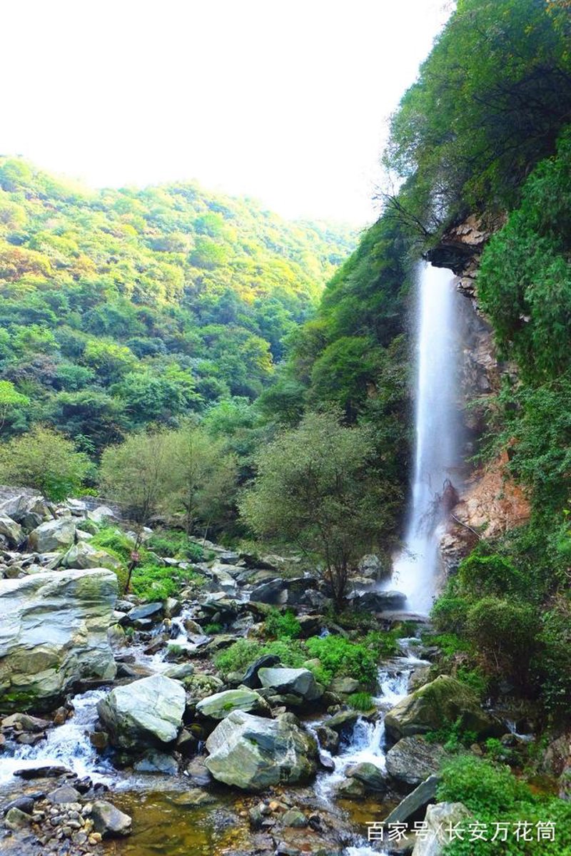 秦岭，这座古老而神秘的山脉，不仅是中国南北气候分界线，也是众多自然生态和文化遗产的宝库。今天，让我们一起走进秦岭，探索这片神奇的土地。
