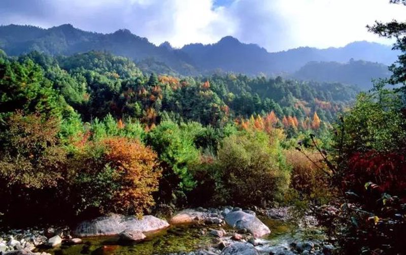 秦岭生态游